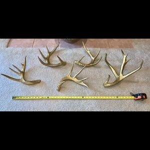Lot Of Antlers, 7 Lb, Golden Decorative Antlers